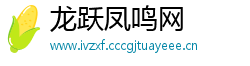 龙跃凤鸣网